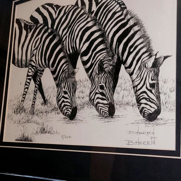 Original Lithograph in Pen & Ink, Zebras Drinking Signed Limited Edition #4/250 - Picture 7 of 16